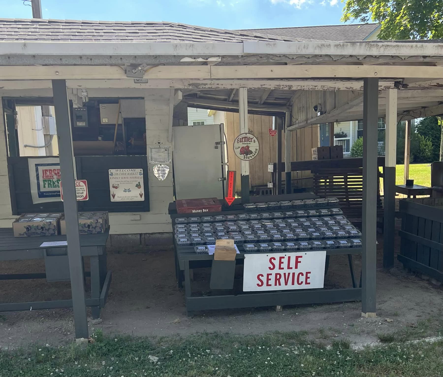 The covered farm stand with flats of blueberries and a Self Service sign